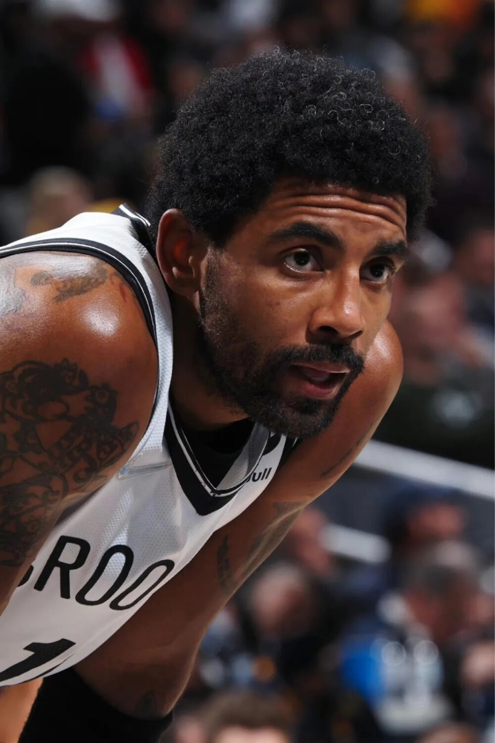 我们必须回 我们必须回